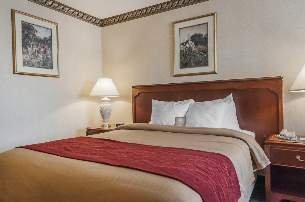 Comfort Inn Meadowvale Миссиссага Экстерьер фото